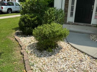 Bush Trimming by Quincy D. for Melissa R. in Charlotte, NC