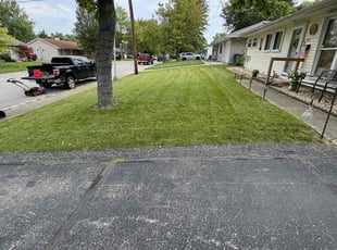 Darius A.'s Yard Cutting service result