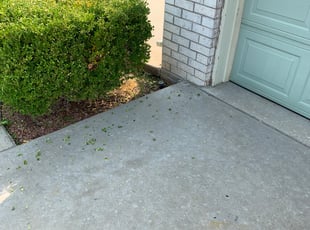 Bush Trimming by David Sigmon for Albert L. in Maize, KS