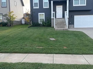 Hal P.'s Yard Cutting service result