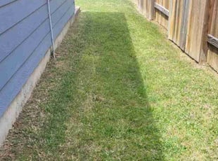 Zenobia p.'s Lawn Care service result