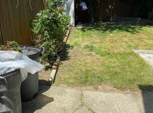 Bush Trimming by Adrian Moran for Prince D. in Queens, NY