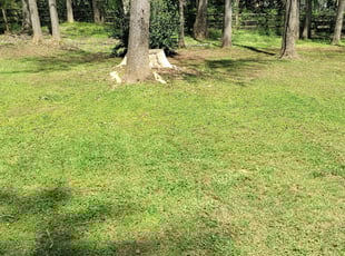 Cleanups by Michael Cherry for Tammy . in Charlotte, NC