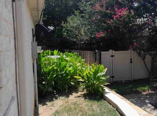 Bush Trimming by Bradley Rearden for James W. in Mansfield, TX