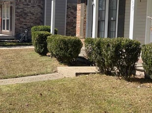 Weeding by Carl George for Mary W. in Baton Rouge, LA