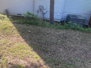 Cleanups by Vanessa Robinson for Halston S. in Augusta, GA