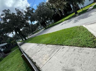 Salimah V.'s Lawn Service service result