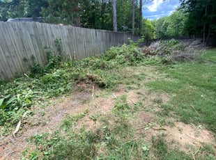 Landscaping by Maria Mauro for Correy E. in Lawrenceville, GA