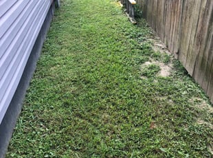 Weeding by Valera Swearngin for Courtney M. in Norfolk, VA