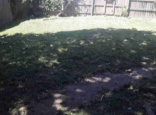 Cleanups by Lamonee Jackman for Nick G. in Council Bluffs, IA
