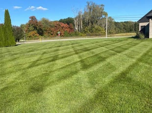 Lesley B.'s Lawn Mowing Service service result