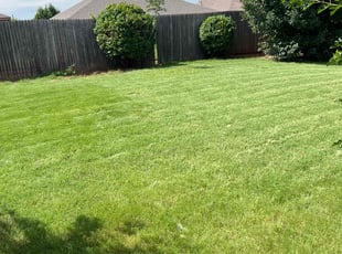 Bush Trimming by Chris Franklin for Ali A. in Edmond, OK
