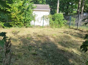 Bush Trimming by Andres Boden for Zachary B. in Bowie, MD
