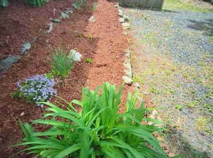 Weeding by Joel Andrews for Ayeta L. in Taunton, MA