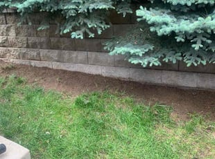 Cleanups by Brody Garth for Meggan B. in Parker, CO