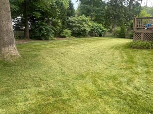 Tabitha S.'s Lawn Mowing service result
