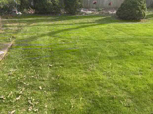 Katherine R.'s Yard Cutting service result