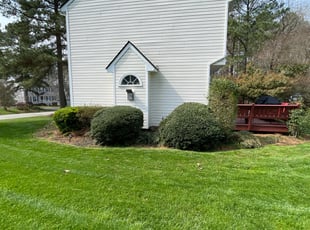 Bush Trimming by Chris Thomas for Fred S. in Midlothian, VA