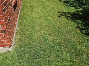 Devyn G.'s Flower Bed Weeding service result