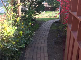 Leaf Removal by John Hellems for Mrs. N. in Warren, MI