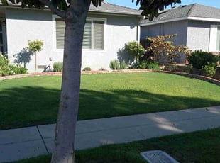 Bush Trimming by Ryan Gault for Bill M. in Fresno, CA