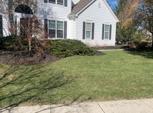 Sue K.'s Lawn Mowing service result