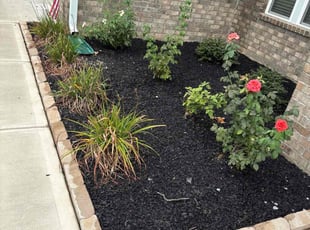 Cleanups by John Schultz for Keisha B. in Lexington, SC
