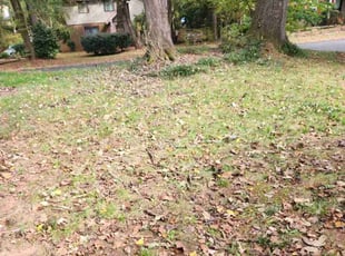 Cleanups by Isaiah Cuthbertson for Areej B. in Charlotte, NC