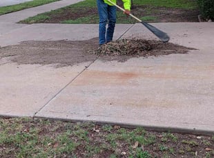 Leaf Removal by Alba Chacon Galdamez for Inieka N. in Pflugerville, TX