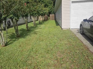 Paula B.'s Lawn Mowing Service service result