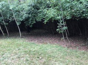 Cleanups by Warren Campbell for Timothy H. in Grove City, OH