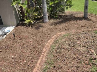 Mulching by Sean Hendrickson for Marquetta W. in Tampa, FL