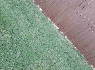 Gloria R.'s Lawn Maintenance service result