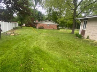 Leaf Removal by Lecretia Beurkens for Tamica L. in Southfield, MI
