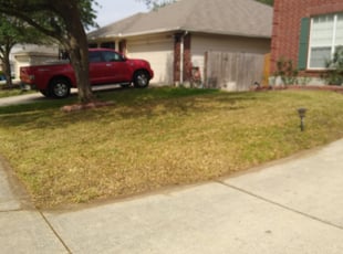 Leaf Removal by Jason Salazar for Vincent G. in San Antonio, TX