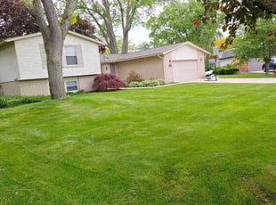 Leaf Removal by Timothy Muir for Cherrae W. in Lake Orion, MI