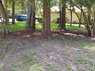 Leaf Removal by Kris Yells for Anthony C. in Spring, TX