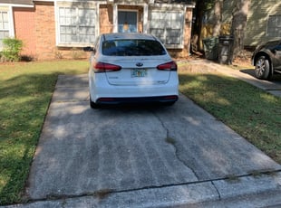Weeding by Brandon Langworthy for Haley S. in Tallahassee, FL