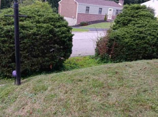 Bush Trimming by Joshua Bauer for Renee H. in Pittsburgh, PA