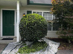 Bush Trimming by Cory Davis for Rashard L. in Jonesboro, GA