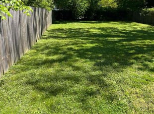 Leaf Removal by Dustin Hopperton for Bryan P. in Norfolk, VA