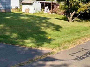 Iris C.'s Lawn Maintenance service result