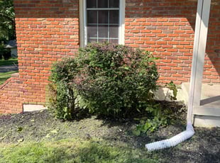 Bush Trimming by Henry Huonker for Lamar L. in Kansas City, MO