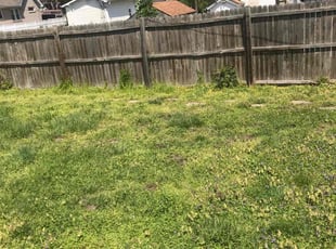 Weeding by Darrius Lawson for Patti S. in St. Louis, MO