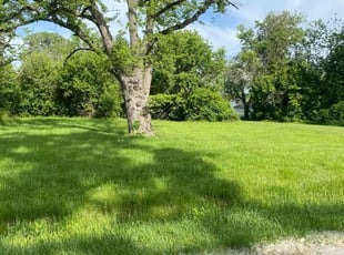 Catina S.'s Lawn Care service result