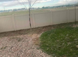 Weeding by Thomas Parker for Tara O. in Fountain, CO
