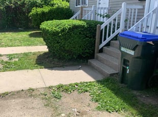 Bush Trimming by David Cardillo for Donald G. in Providence, RI