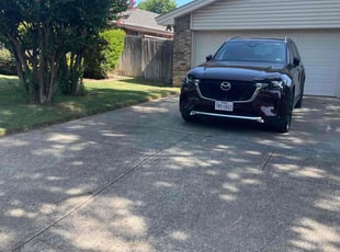 Bush Trimming by Maurice Johnson for Bobby G. in Arlington, TX