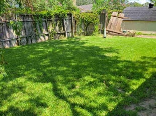 Karen H.'s Grass Cutting service result