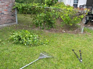 Bush Trimming by Ronald i know Butler for Gracyn M. in Charleston, SC